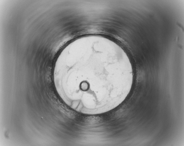 X0000100911314200807011234