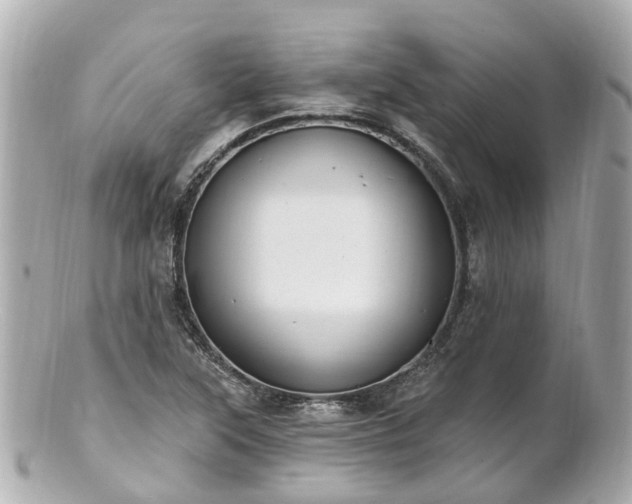 X0000100911315200807011234
