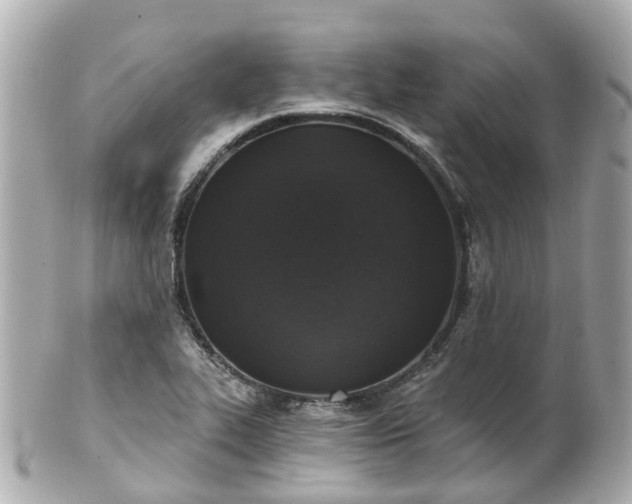X0000100911319200807011234
