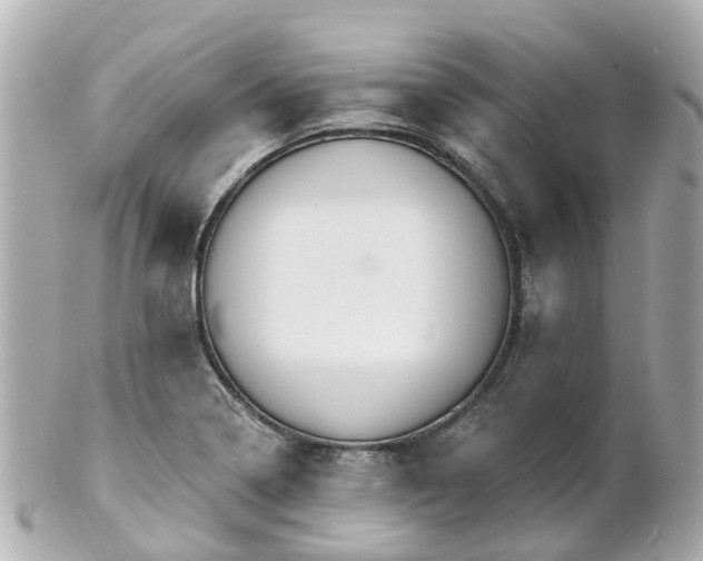 X0000100911322200807011234