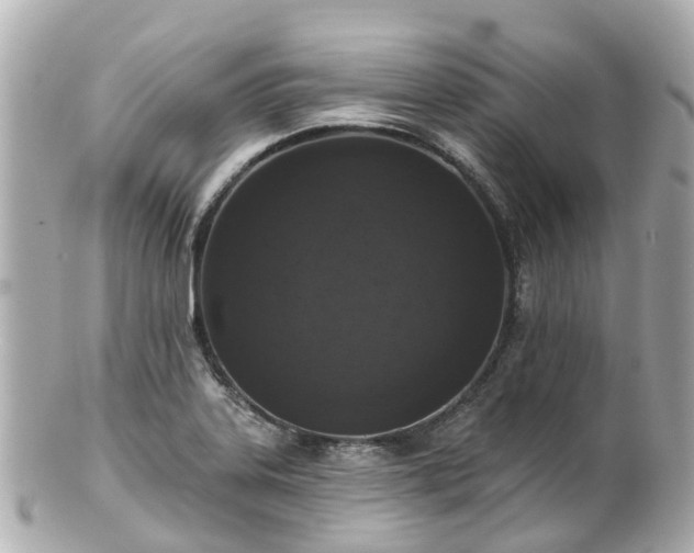 X0000100911323200807011235