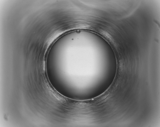 X0000100911324200807011235