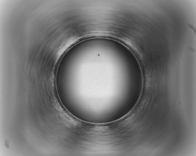 X0000100911325200807011235