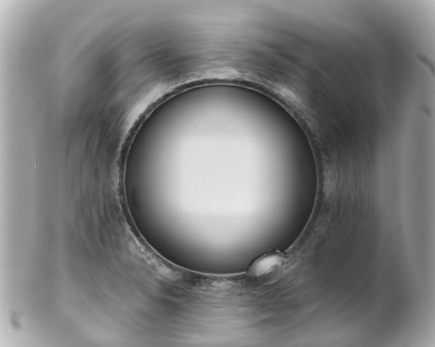 X0000100911326200807011235