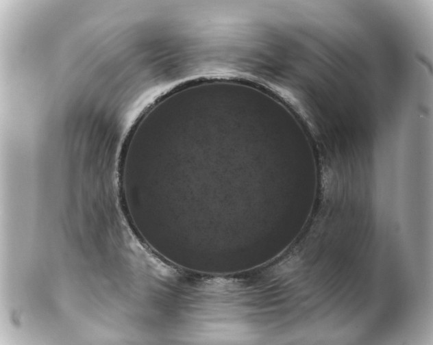 X0000100911327200807011235