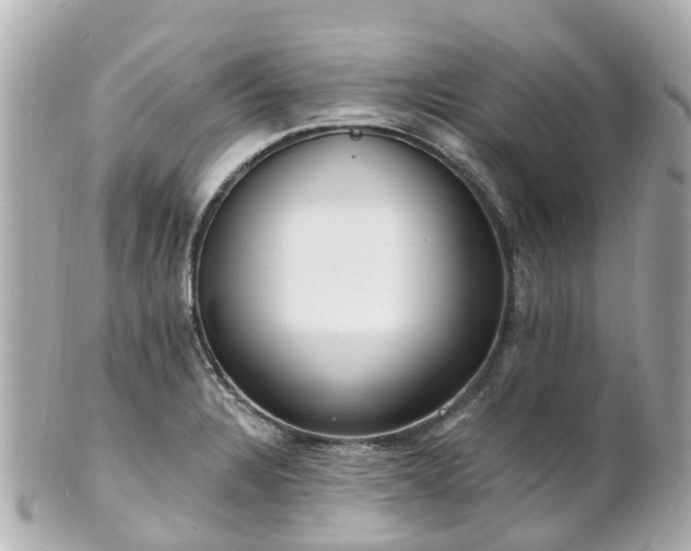 X0000100911328200807011235