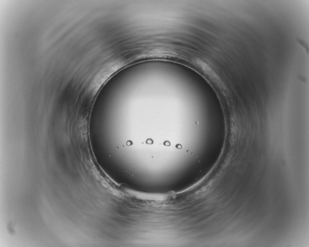 X0000100911329200807011235