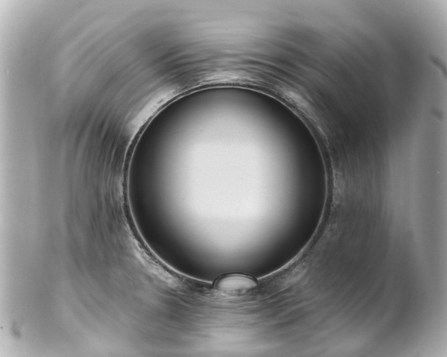 X0000100911330200807011235