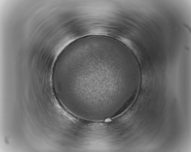 X0000100911331200807011235