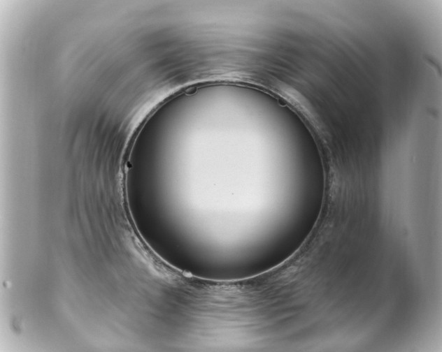 X0000100911332200807011235