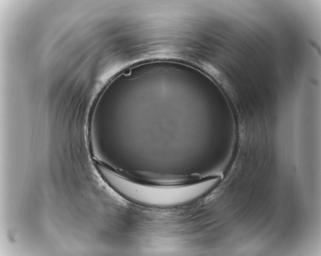 X0000100911334200807011235
