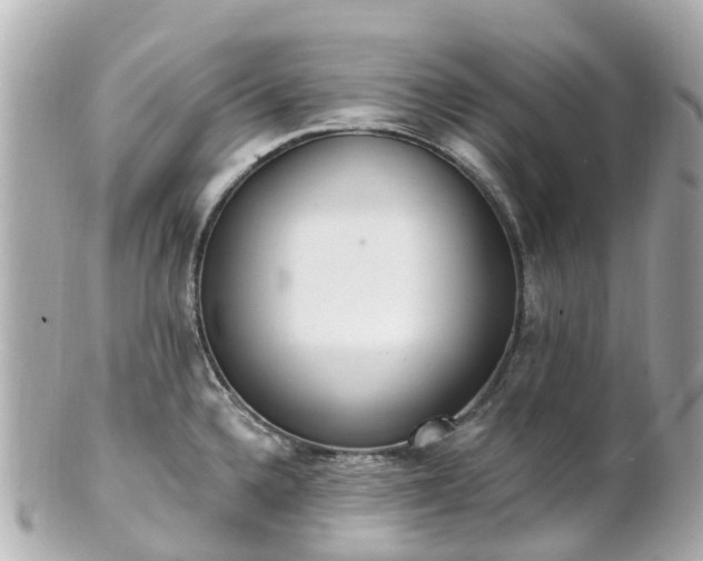 X0000100911336200807011235