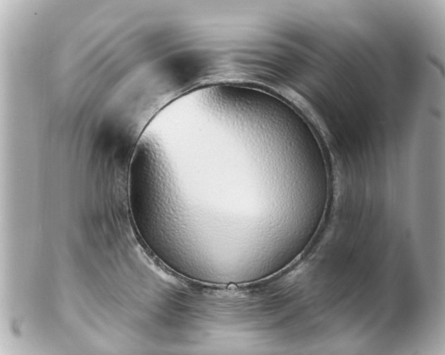 X0000100911337200807011235