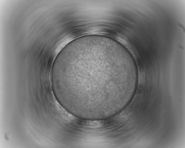 X0000100911338200807011235