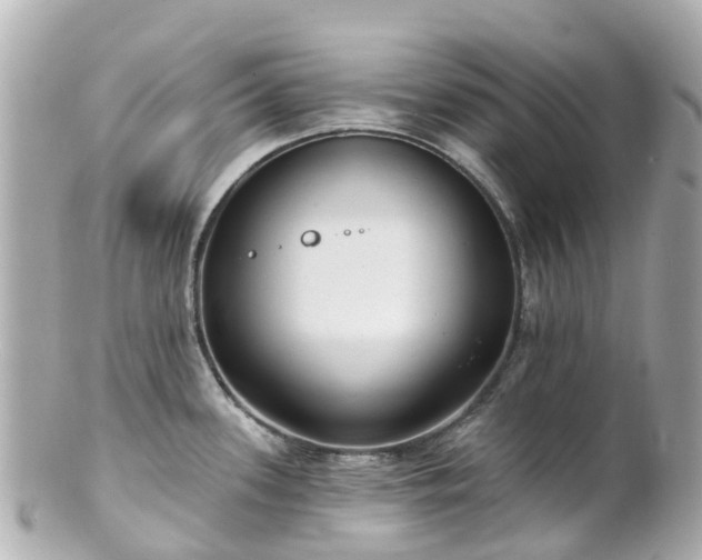 X0000100911339200807011235