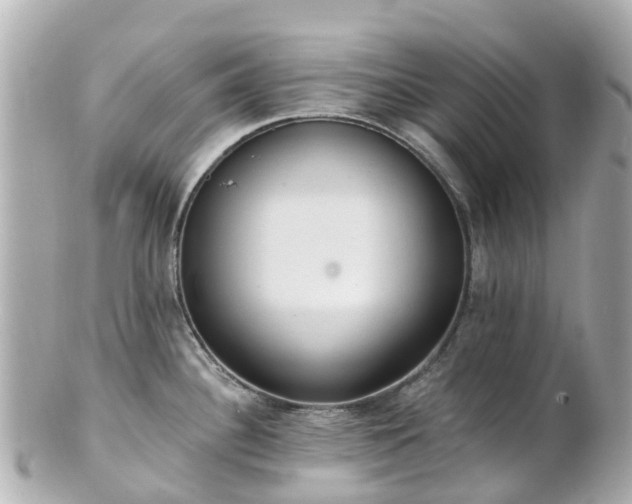 X0000100911340200807011235
