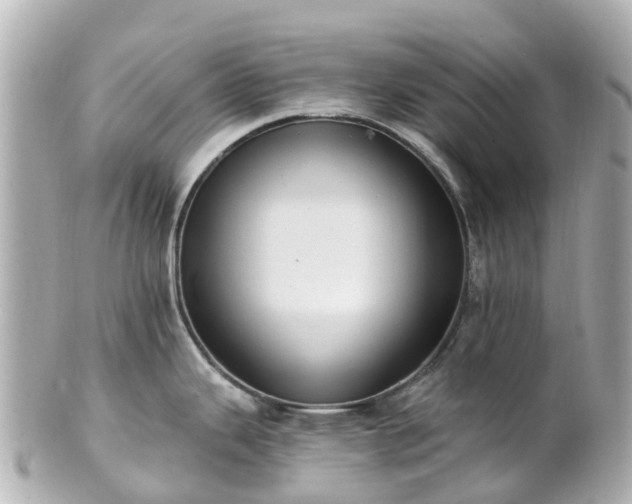 X0000100911343200807011235