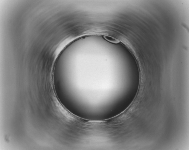 X0000100911344200807011235