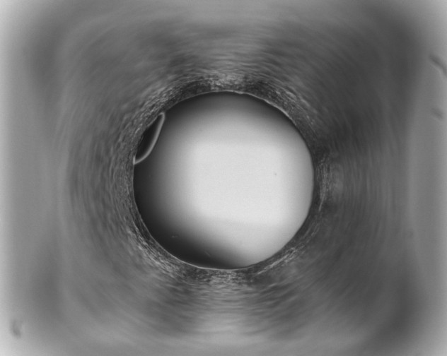 X0000100911345200807011234