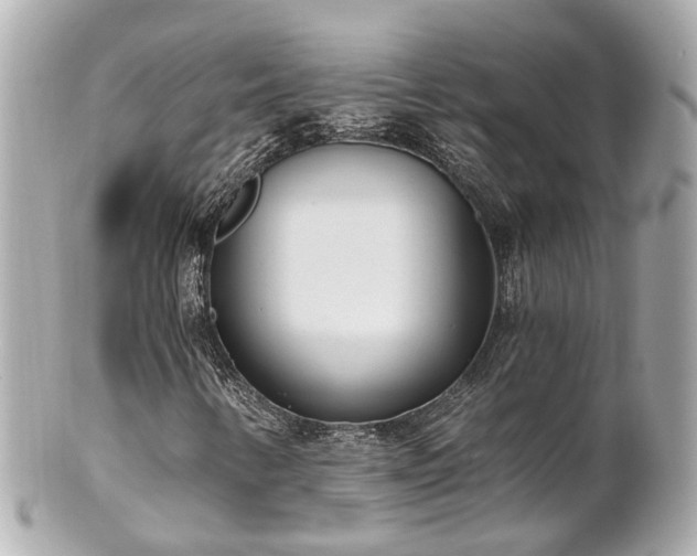 X0000100911346200807011234