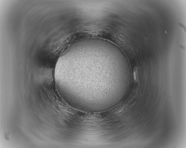 X0000100911347200807011234