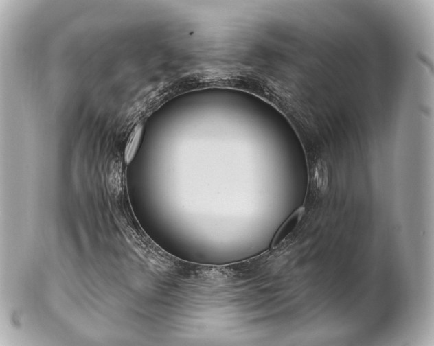 X0000100911348200807011234