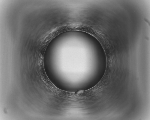 X0000100911349200807011234