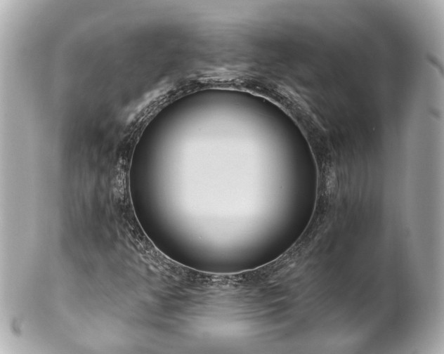 X0000100911350200807011234
