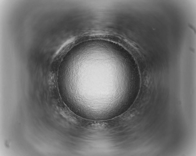 X0000100911351200807011234