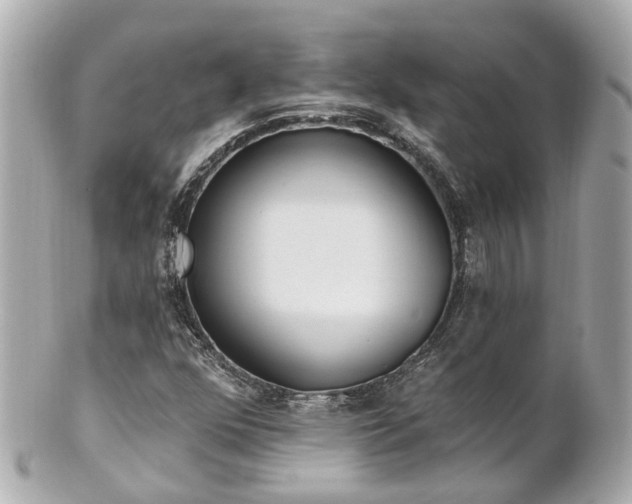 X0000100911352200807011234