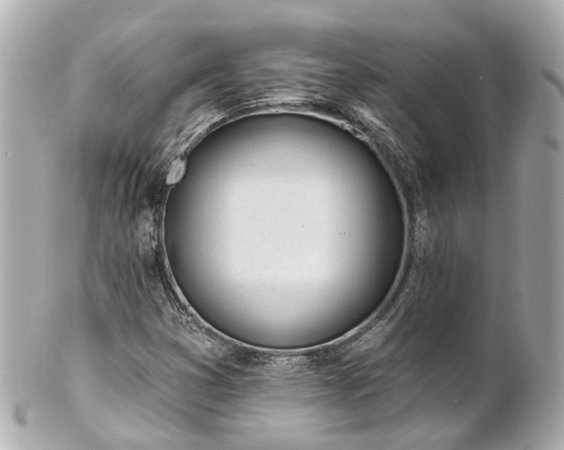 X0000100911353200807011234