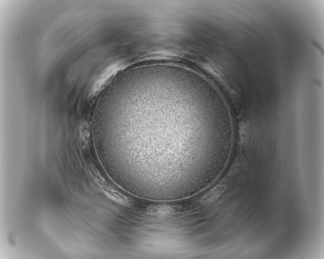 X0000100911355200807011234