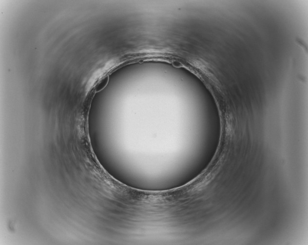 X0000100911357200807011234