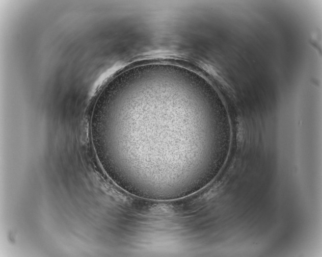 X0000100911358200807011234