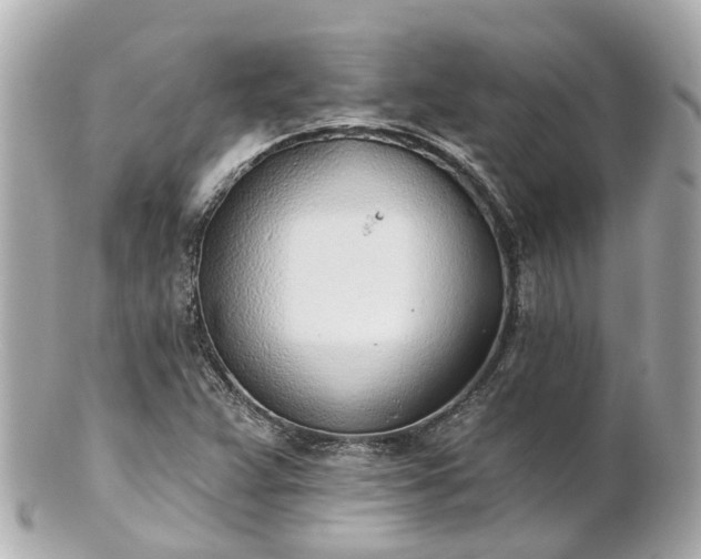 X0000100911359200807011234