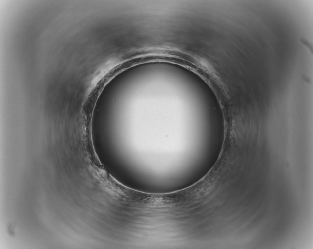 X0000100911360200807011234