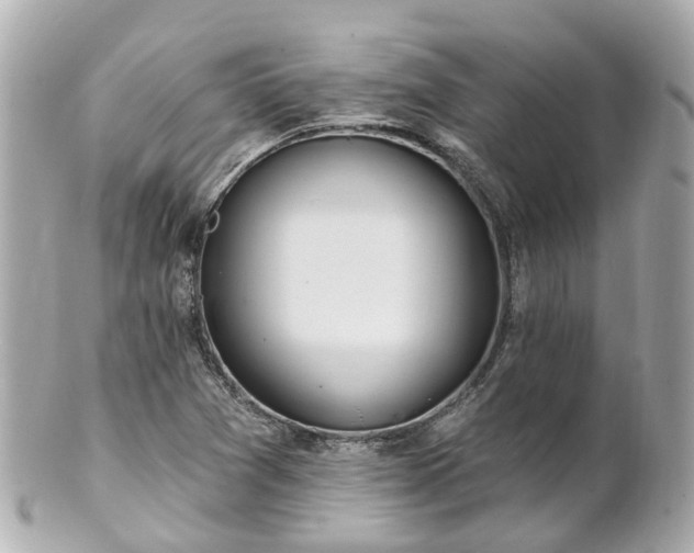 X0000100911361200807011234