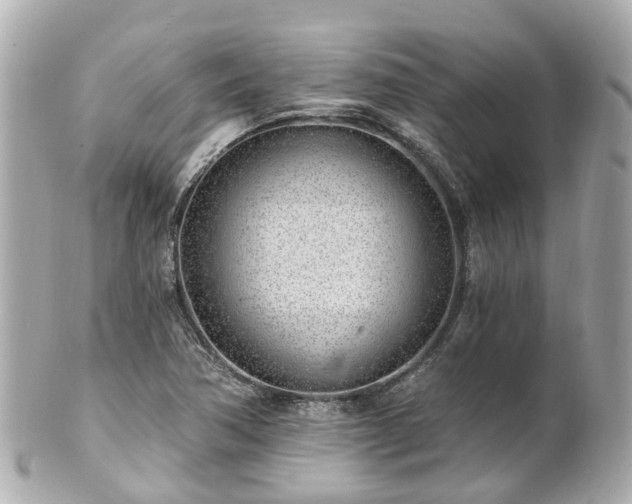 X0000100911362200807011234