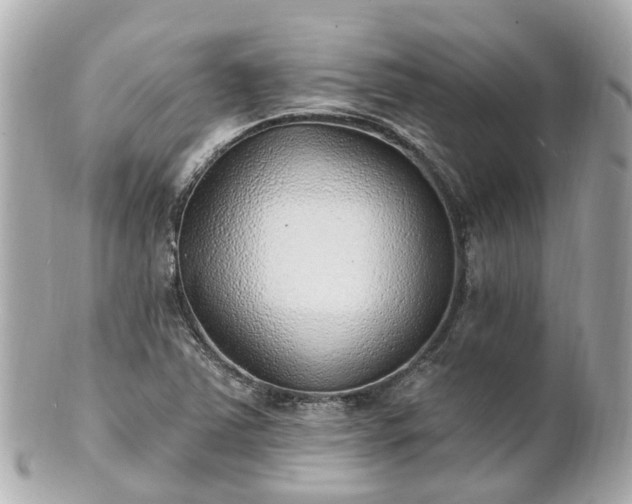 X0000100911363200807011234