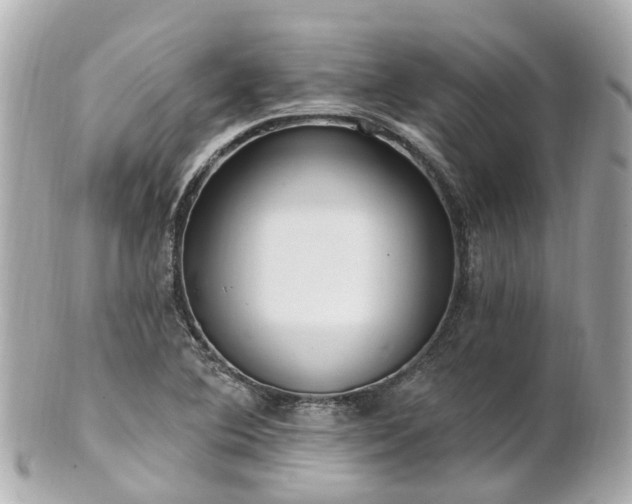 X0000100911364200807011234
