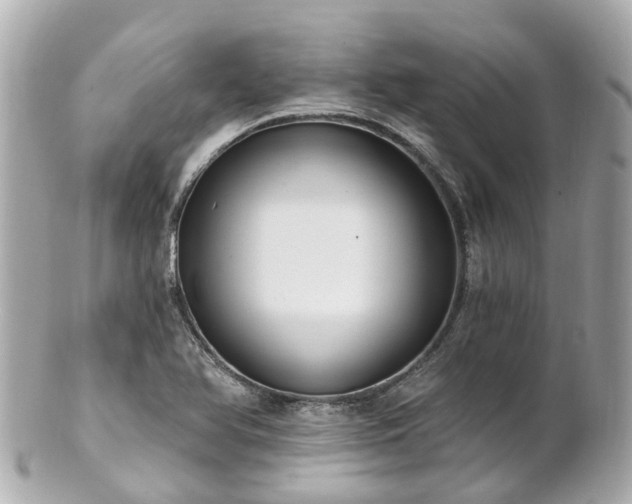 X0000100911366200807011234