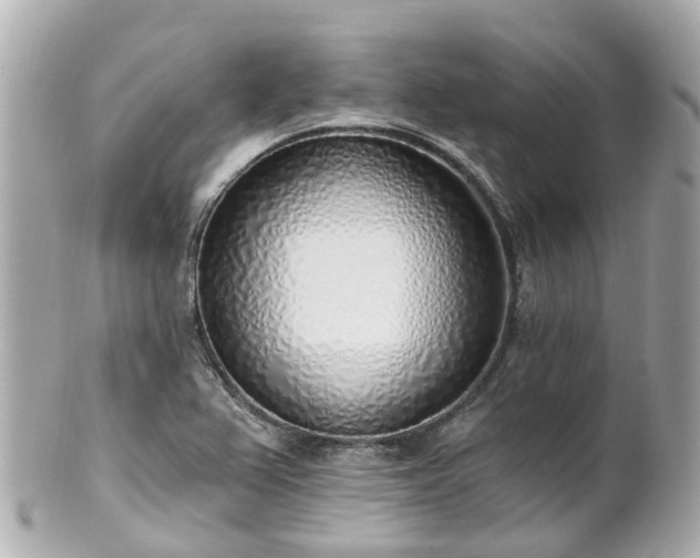 X0000100911367200807011234