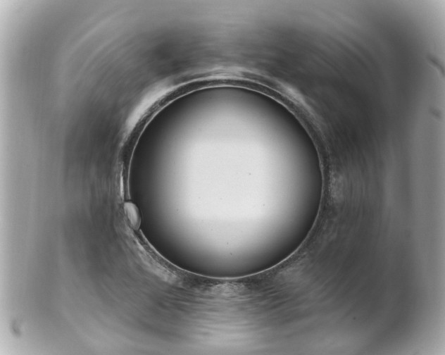 X0000100911368200807011234