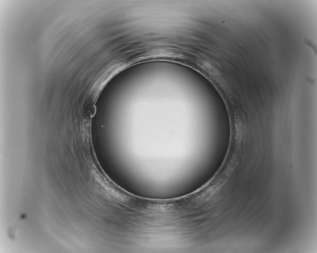 X0000100911369200807011234