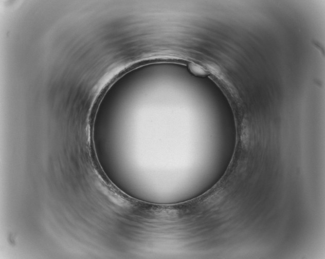X0000100911372200807011234