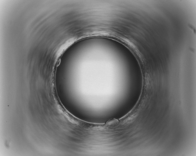 X0000100911373200807011234