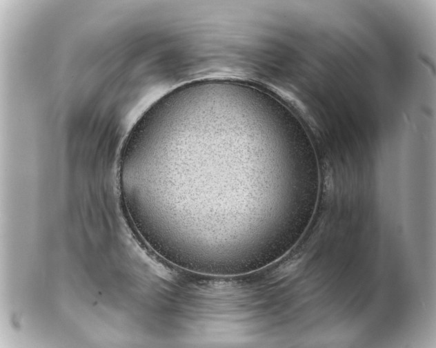 X0000100911375200807011234
