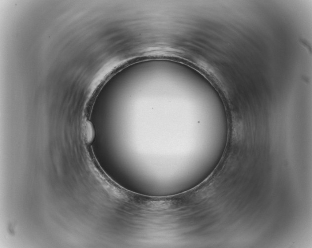 X0000100911376200807011234