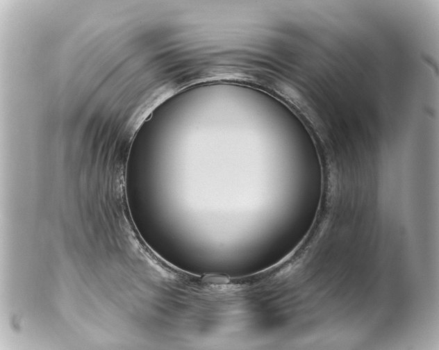 X0000100911377200807011233