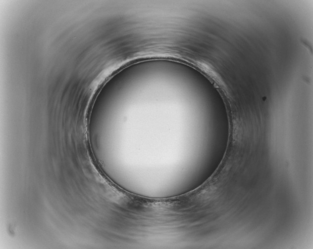 X0000100911380200807011233